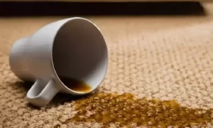 پاک کردن لکه قهوه از فرش