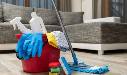 کار نظافت در اندیشه- مجموعه خدماتی بانوکلین