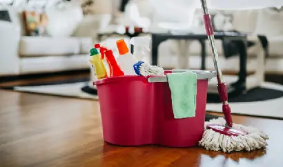 نظافت منزل حسن اباد- مجموعه بانوکلین